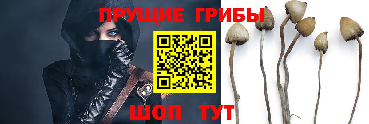 Псилоцибиновые грибы Psilocybe  Галлюциногенные грибы ЛСД  Волжск  Вход с VPN 