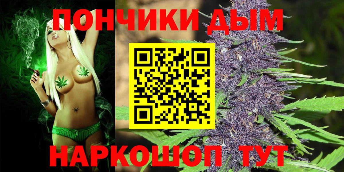 Бошки Шишки семена  Канабис планчик  Волжск  Вход с VPN  Марихуана семена  Бошки Шишки OG Kush 
